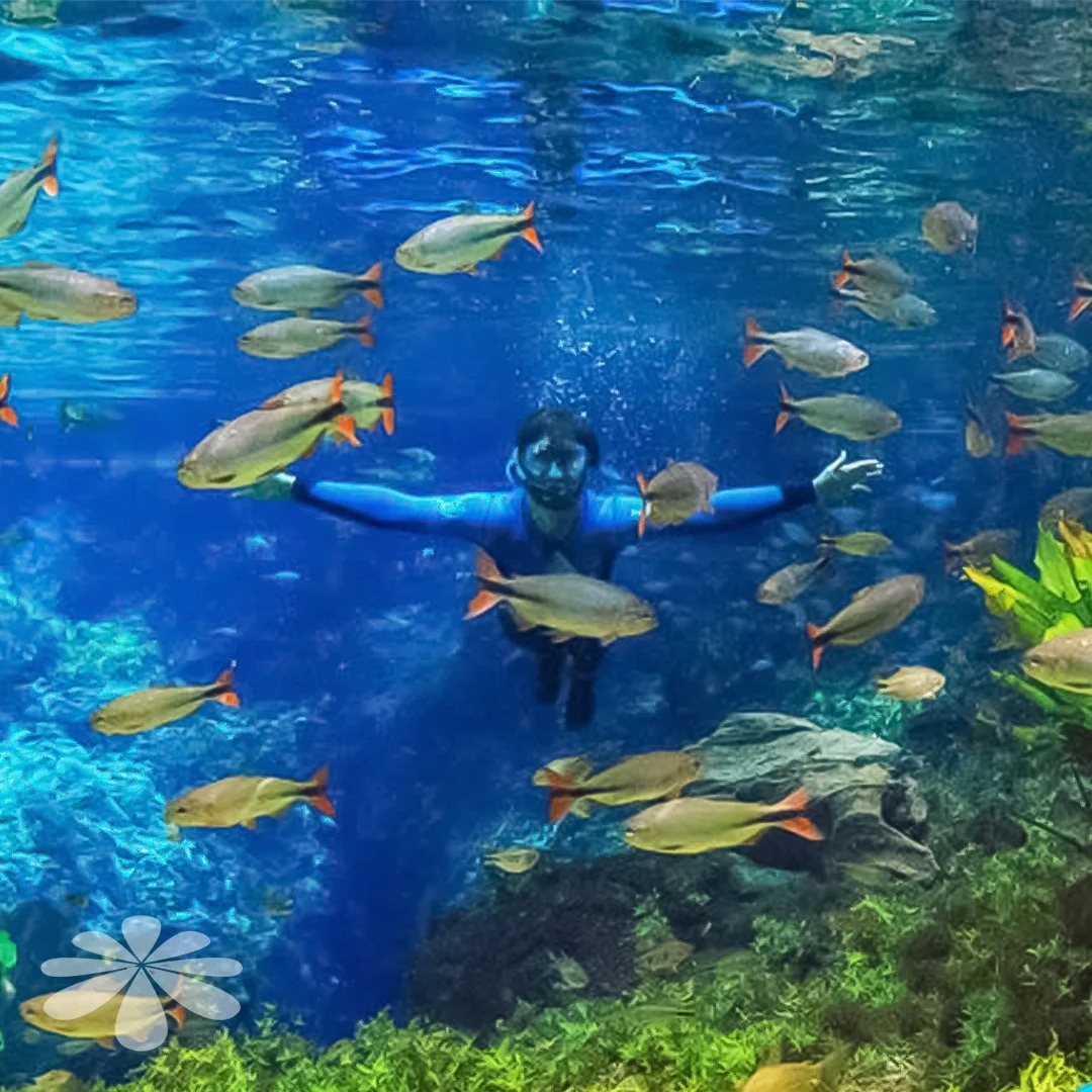 Nascente Azul - Museu Subaquático - Bonito MS