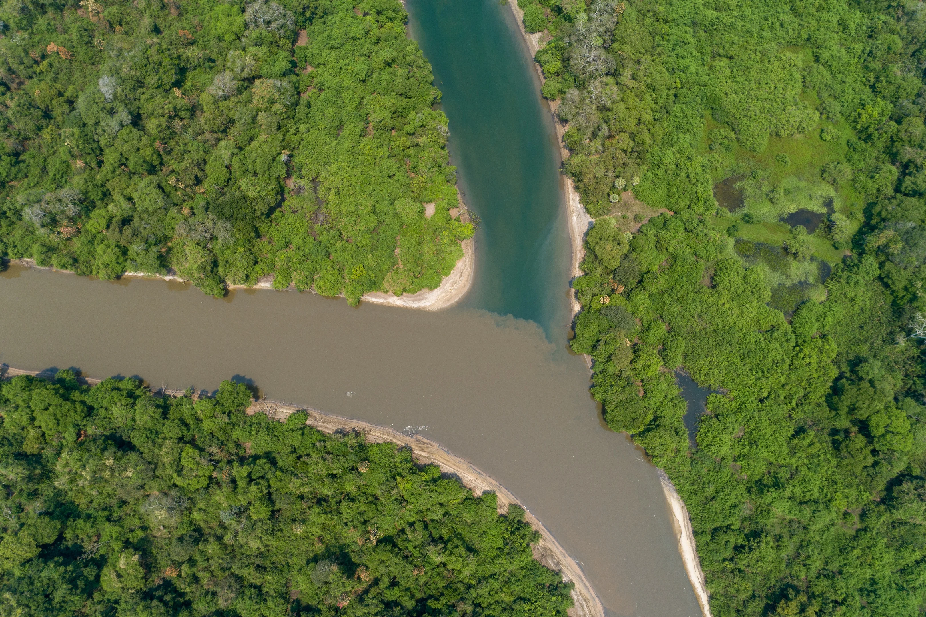 Projeto Salobra - Pantanal MS