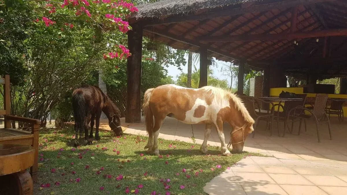 Hotel Fazenda Cachoeiras Serra da Bodoquena